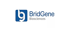Bridgene