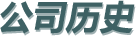 公司历史