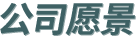 公司愿景